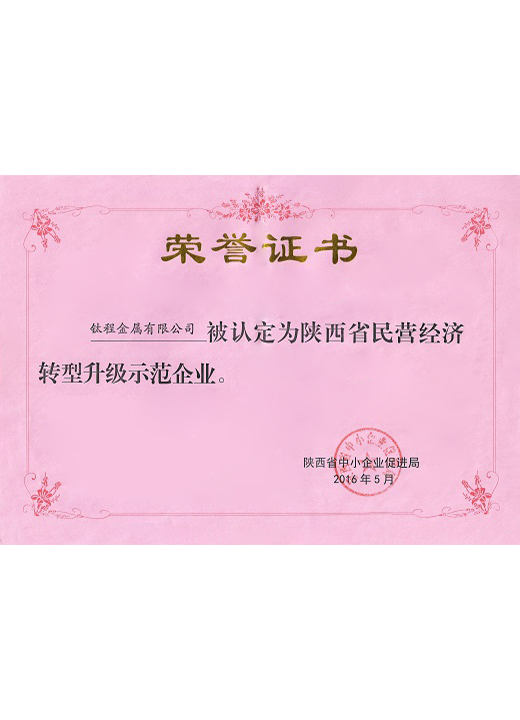 示範企業(yè)證書(shū)